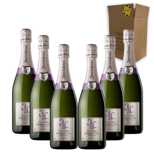 Juvé & Camps Essential Púrpura - Para Disfrutar en Celebraciones y con los Tuyos - Pack 6 Botellas 37.5 cl