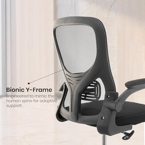 Image of Casa Copenhagen Black | Mid Back Imported Mesh Fabric Boss Office Chair | Y Design Ergonomic Back Support | 2D Aero Design Adjustable Armrests | Synchro Tilt Lock Mechanism | Adjustable Lumbar Support