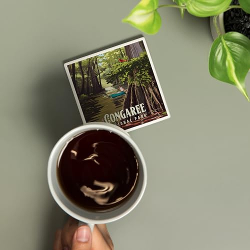 Lantern Press Congaree National Park, South Carolina, Painterly National Park Series (Absorbent Ceramic Coaster, Single, Cork Back, Kitchen Table Decor)