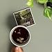 Lantern Press Congaree National Park, South Carolina, Painterly National Park Series (Absorbent Ceramic Coaster, Single, Cork Back, Kitchen Table Decor)