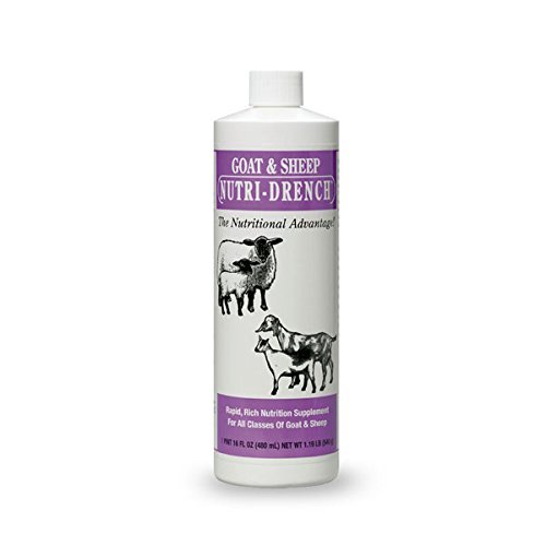 Nutri-Drench Goat & Sheep Nutrition Supplement 1 pint 16 oz