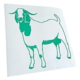 ✔️ Qualité : autocollant de la marque KIWISTAR. Ces beaux decals sont très polyvalents à l'intérieur et à l'extérieur. Choisissez un design des autocollants pour pare-brise arrière dans notre sélection dans nos nombreuses couleurs colorées. Nos nouvelles couleurs fluo sont également faciles à monter.