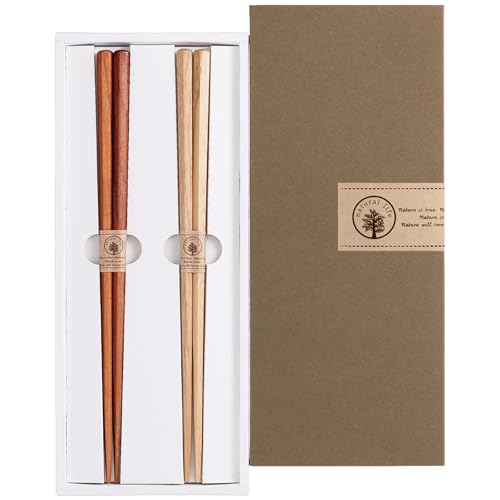 TCt u i`Ebh v  l  Mtg yA Zbg Zp PL I 23cm { S-04246