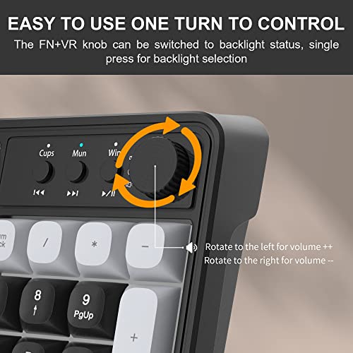 Rgb Gaming Keyboard And Mouse Combo,Magegee Gk980 Wired Backlit Keyboard And Black Gaming Mouse Combo,Pc Keyboard And Adjustable Dpi Mouse For Pc/Loptop/Mac(Grey Black) #TOP3