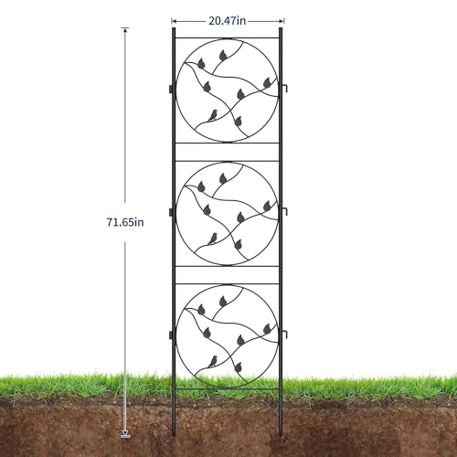 GarveeTech 2 PCS 21x72 in Black Metal Garden Trellis, Rustproof Plant Support for Climbing Roses, Vines, Vegetables & Flowers, Outdoor/Indoor Trellis for Potted Plants, Houseplants & Patio Gardening by GarveeTech - Used condition - Image 2