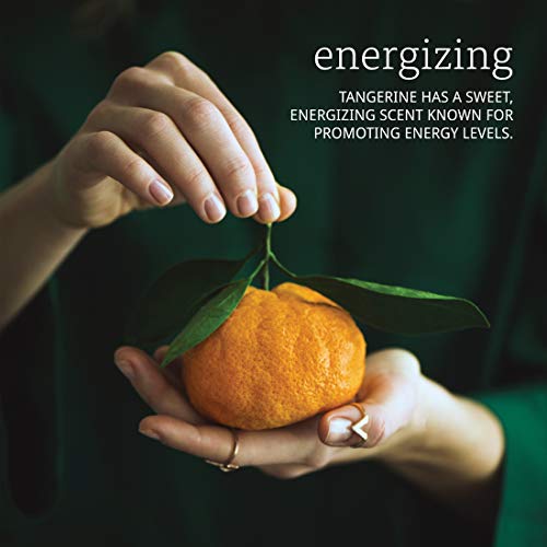 Now Essential Oils, Tangerine Oil, Cheerful Aromatherapy Scent, Cold Pressed, 100% Pure, Vegan, Child Resistant Cap, 4-Ounce #TOP3