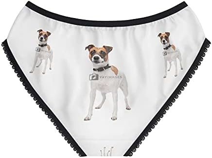 DogsMakeMeHappy Jackalope Arms Crossed Standing Panties, Jackalope Arms Crossed Standing Underwear