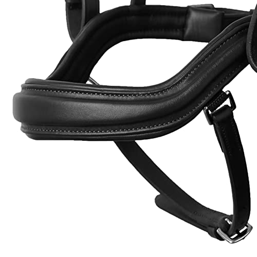 Horze Highbury Anatomical Crystal Dressage Bridle - Black - Horse #TOP4