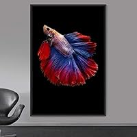 Framed Canvas Wall Art Fish Bedroom Colorful Jellyfish Marine Life Multicolor Neon Photography Tropical - 16x24 inches