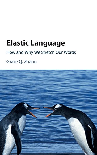 Elastic Language view 2