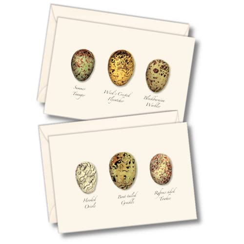 Image of Earth Sky + Water - Bird Egg Assortment II Notecard Set - 8 Blank Cards with Envelopes (4 each of 2 styles)