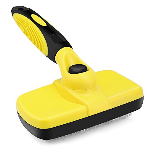 25 Best Dog Brushes Reviewed in 2024 PetStruggles