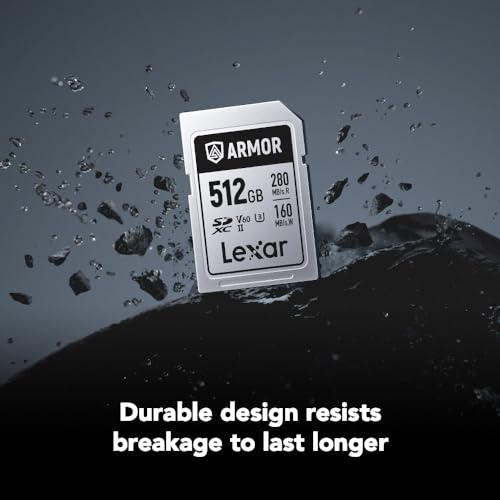 Image of Lexar 512GB Armor Silver PRO SDXC Memory Card, UHS-II, C10, U3, V60, 6K UHD, Up to 280MB /s Read, Stainless Steel, for Professional Photographer, Videographer, Enthusiast (LSDAMSP512G-RNNNU)