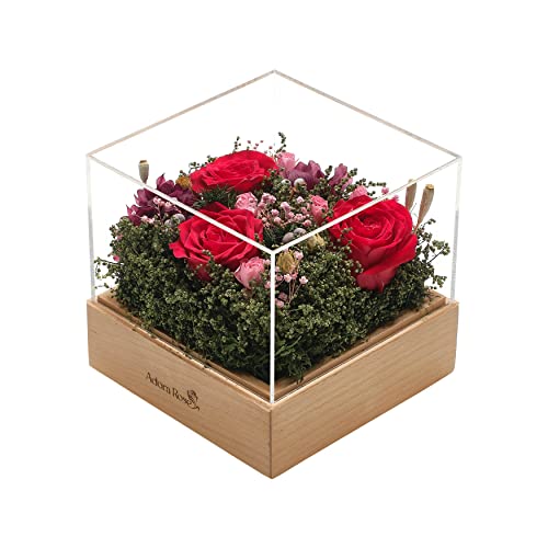 Preisvergleich Produktbild Adora Rose Medium