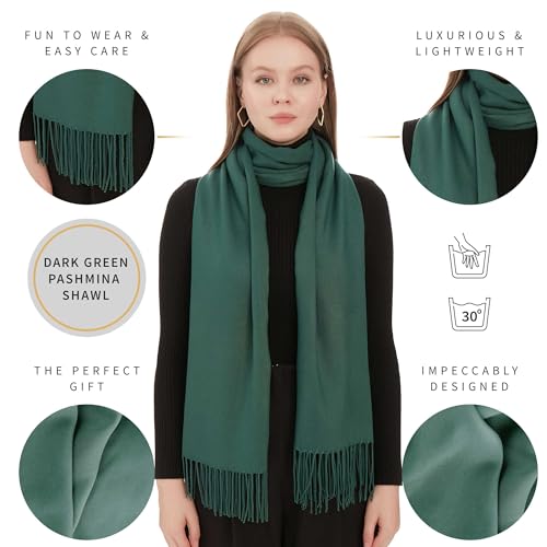 Pashmina Shawls & Wraps For Women - Versatile Pashmina Neck Scarf For Women, Warm & Soft Chal & Wraps For Evening Dress2