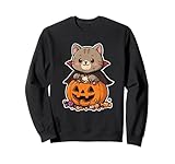 vampire cat pumpkin candy cute halloween Halloween