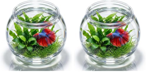 Image of POPETPOP Plastic Aquarium Betta Fish Tank 1 Gallon Clear Goldfish Bowl Unbreakable Round Fish Vases Bowl for Home decor Wedding Event Party Goldfish Lovers (Pack of 2)