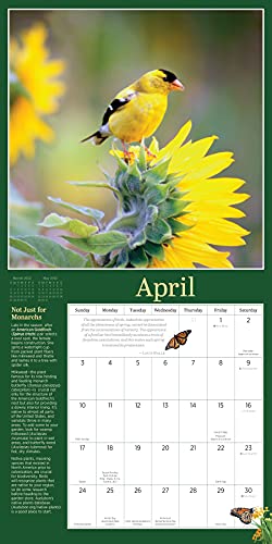 Audubon Birds In The Garden Wall Calendar 2022 #TOP5