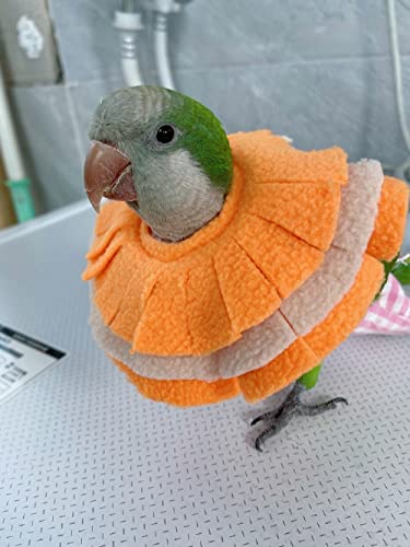 Image of Adjustable Parrot Cone Collar, Safe and Practical Cotton Collar to Prevent Bites and Licking Wounds, to Help heal (XL)