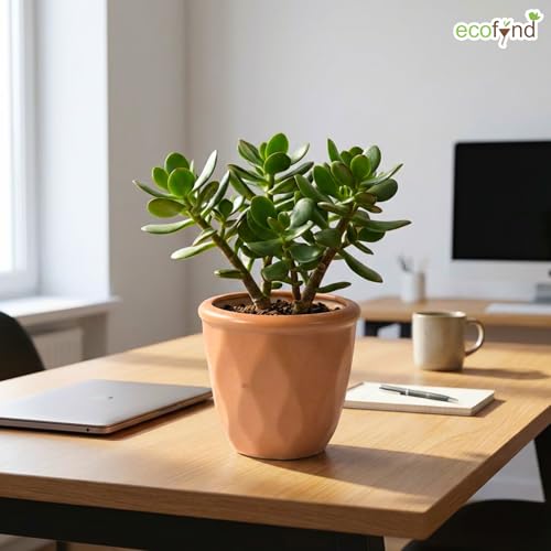 Image of ecofynd 4 Inch Ceramic Plant Pots with Drainage Hole, Modern Decorative Clay Flower Pots for Indoor Plants, Home Garden Decor for Living Room, Bedroom & Interior Spaces (CPOT043-PEH)