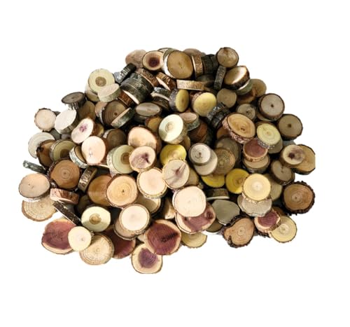 Unfinished Wood Slice Variety Pack, Extra Small Assorted Wood Slices 0.75 to 1.25 Inch Diameter, Natural Organic Vase Filler, Wedding or Home Decor, DIY Craft Projects