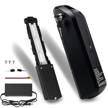 electric bike extra battery