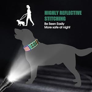 Heavy Duty Dog Collar Tactical Dog Collar with Neoprene Padded,Metal Buckle Dog Collar Reflective Nylon Collar for Medium Large Dog’s Walking (Teal, Large)