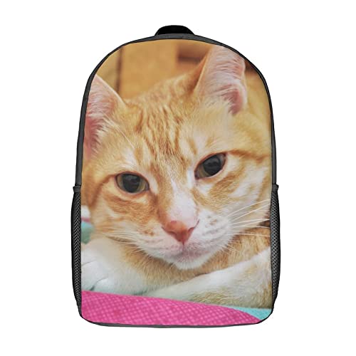 Sac à dos chat 3D pour adolescents idéal pour les cours et les sorties
