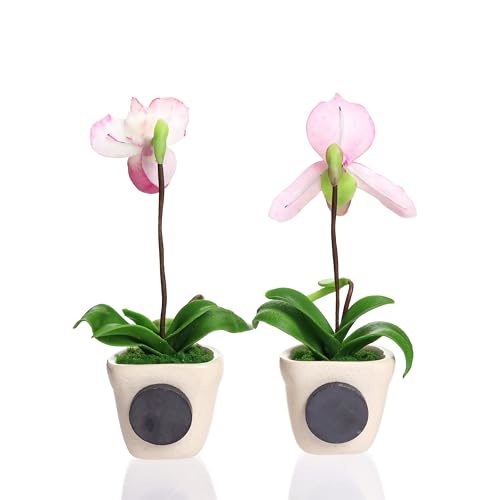 Imanes Decorativos Orquídea Blanca y Rosa 3D Set 2 miniatura 2