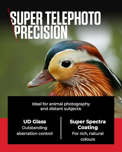 Canon RF 100-400mm F5.6-8 is USM - Lens for Canon R System Cameras, Ideal for Wildlife Photography, Sports, Action and Aviation.