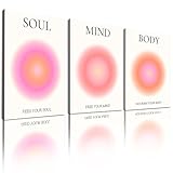 Sbemyenus Aura Posters for Room Aesthetic 3 Piece Colorful Aura Wall Art Spiritual Soul Body Mind Quote Canvas Positive Home Wall Art Bedroom Aesthetic 12'x16' Unframed