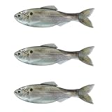 6th Sense - Bass Fishing Swimbait Panorama Plump 5.0 – Thicker Body, Realistic 5 inch Profile(Live Threadfin Shad)