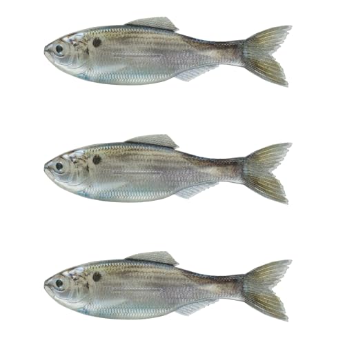 6th Sense - Bass Fishing Swimbait Panorama Plump 5.0 – Thicker Body, Realistic 5 inch Profile(Live Threadfin Shad)