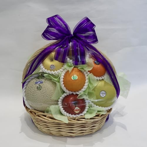 Mtg ʕ  䌩₨ajɂlC É̃t[cXVVI m[uhi ①֑Ή ()