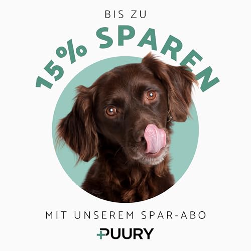 PUURY® Gelenk-Komplex für Hunde | Unterstützt Knochen & Gelenke | Leckerer als Gelenktabletten | Mit Grünlippmuschel, Kollagen, Kurkuma, Glucosamin, Lachsöl | 90 Leckerlis (270g), 3 Monatsvorrat