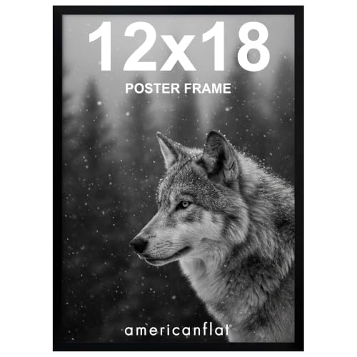 Image of Americanflat 12x18 Poster Frame with Polished Plexiglass - Streamline Collection - Thin Border Picture Frame for Wall Display - Hanging Hardware Included - Black
