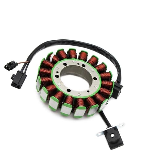 Stator de générateur Wildcat 1000 pour vos sorties tout-terrain