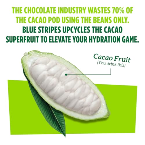 Image of Blue Stripes Lime Cacao Water - Hydration Drink with Natural Electrolytes & Antioxidants | Cold Pressed Cacao Juice, Lime Juice & Water | No Sugar Added, Plant Based, Non GMO | 10 Fl Oz (12 Pack)