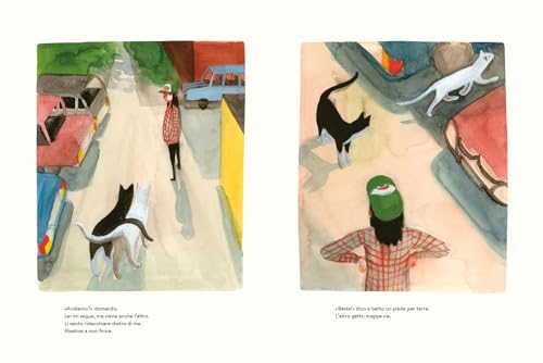 Passeggiata Con Fusa - 6