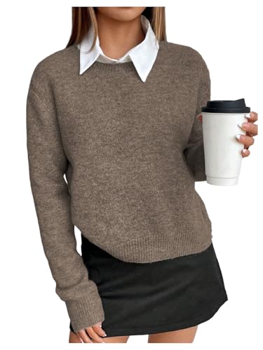 WDIRARA Women's Crew Neck Long Sleeve Sweater Pullover Knit Top Solid Color Casual Knitwear
