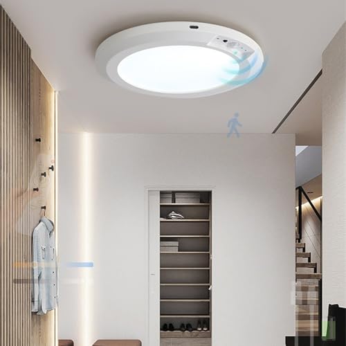Luminaire plafonnier LED dimmable et rechargeable avec telecommande pour interieur