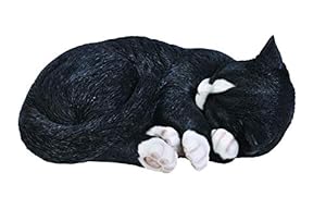 Vivid Arts Schlafende Katze Schwarz/Weiß XRL-ZC35-B
