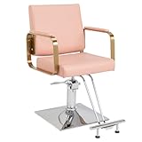 Winado Salon Chair Styling Barber Chair, Beauty Salon Spa Equipment with Heavy Duty Hydraulic Pump, Adjustable Height & 360° Swivel for Barber Shop Hair Stylist, Max Load 330 lbs(Pink)