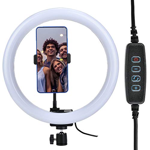 12 Inch Lighting for Video Recording with Phone Clip Ball Head (0.25 Screw Mouth), LED Dimmable Light 3200K-5600K for Makeup, Video Conference Lighting