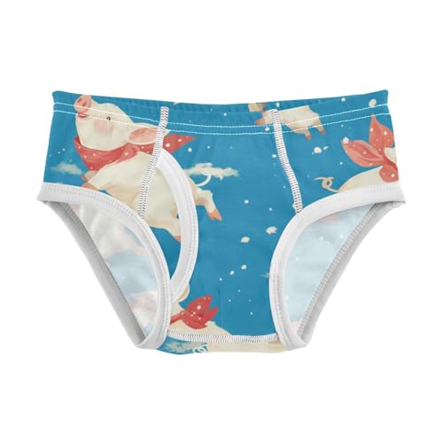 KLL Flying Pigs A Dark Blue Sky Little Boys Comfort Underwear Cute Undies
