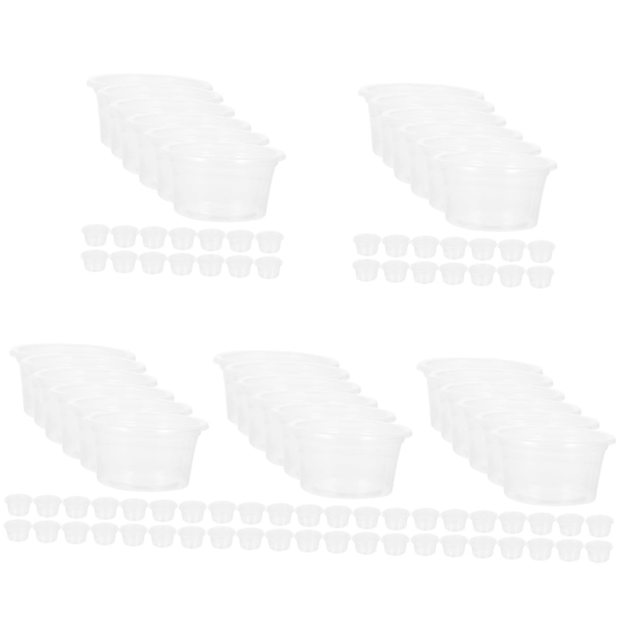 Gamelles pour reptiles BESPORTBLE lot de 5 pour tortues et geckos