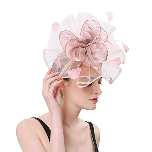 Uangkou OCTOPUS HAIR CLIP Fascinators For Women Fascinator Hats For Women Vintage Headpiece Headband Bowler Feather Flower Veil Hair Clip Headwear Birds Nest Hair Clip Pink cover