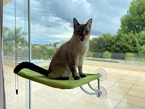 cama de janela para gatos petlon - verde