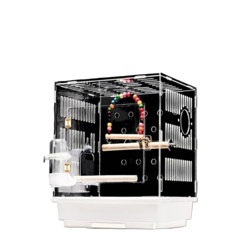 JBJSHHYIEgAybgAƒp^AȁAo[hP[WAAȃXy[X ꂩ񂽂AgAXibvIfUCAʋCƒʋCAŖڂɌfUCAeʁA@\AN (,zCg)