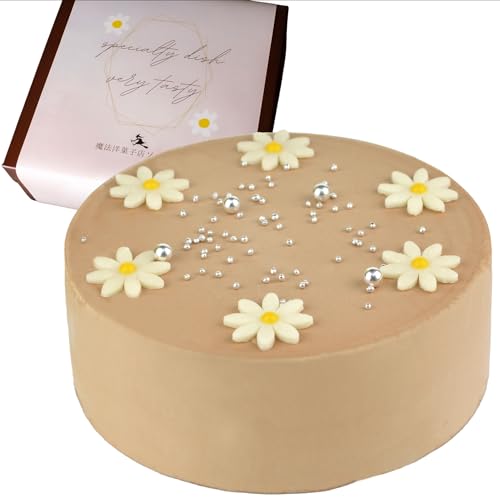 @mَqX\VG P[L ZCP[L `R[g 4 a13.5cm 2l`4l 285g yPii[\N̂݁jz XC[c Mtg aP[L